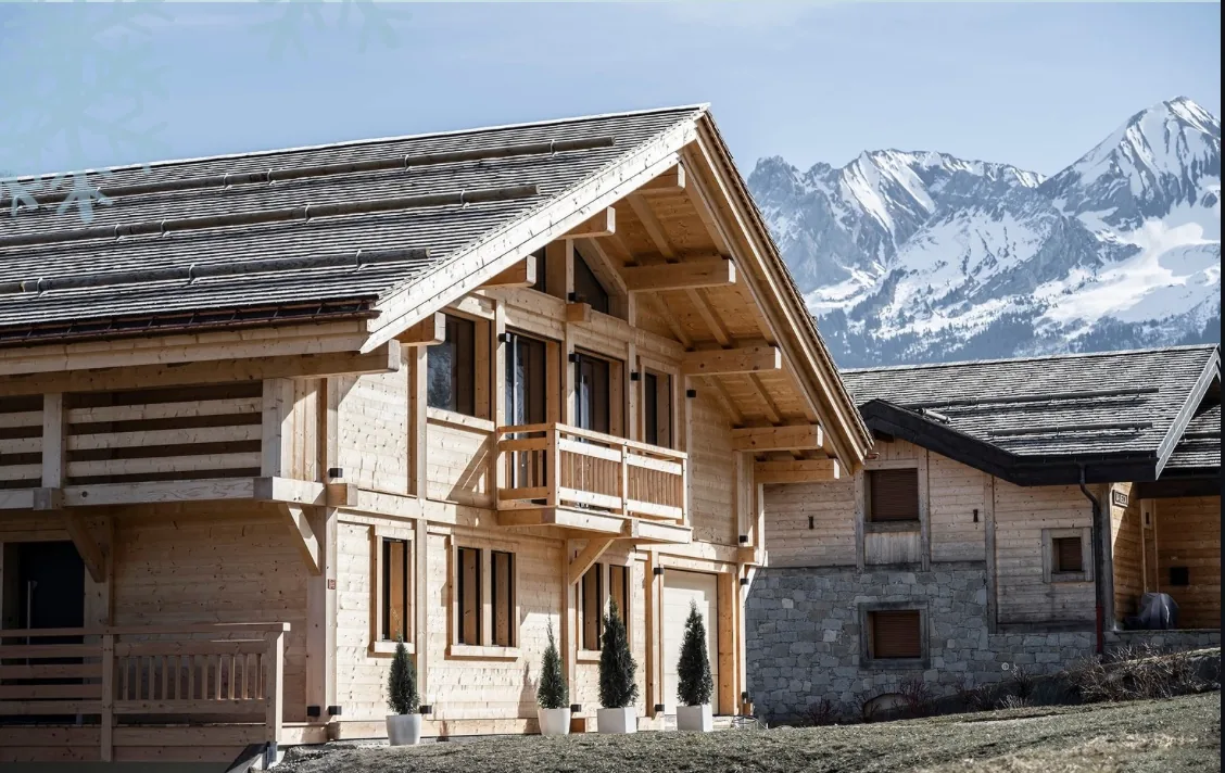 Retraite yoga Entre Ciel et Terre dans les Alpes — janvier 2027